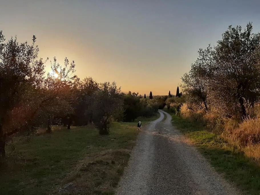Holiday home Podere Piagge Villa Reggello