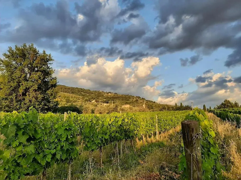 Podere Piagge Villa Reggello Holiday home